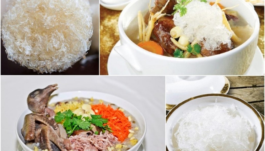 Cách chưng yến sào với bồ câu non