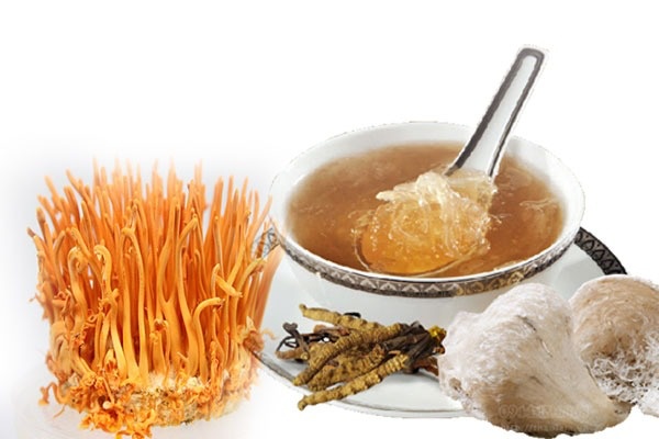 Cách chưng yến với đông trùng hạ thảo cho bé