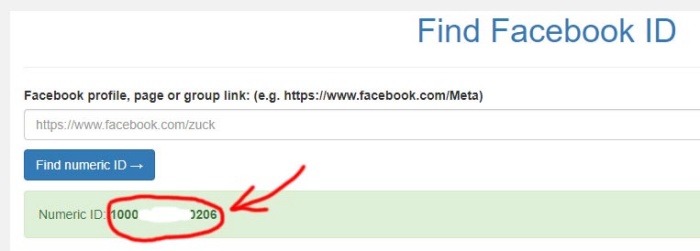 Bạn tiến hành copy dãy số ở mục Numeric ID lại. Dãy số này chính là ID Facebook của người đó.