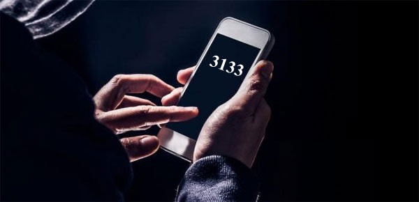 GameThuVi.Com - 3133 là số gì? 2