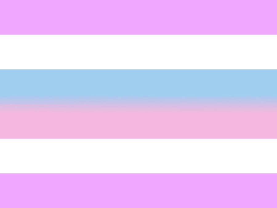 Cờ Bigender hoặc dual-gender