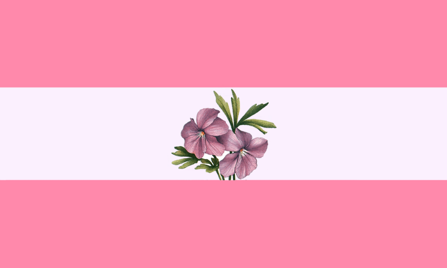 GameThuVi.Com - Sapphic flag là gì? 2