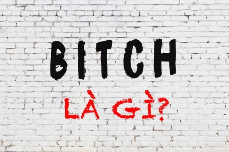 GameThuVi.Com - Bitch là gì, 1