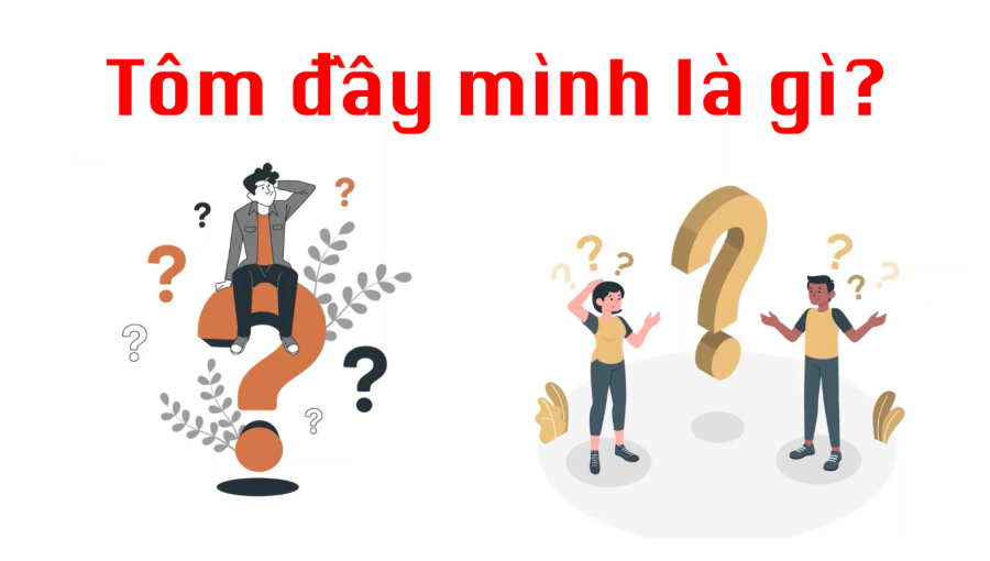 GameThuVi.Com - Tôm đầy mình là gì? 1