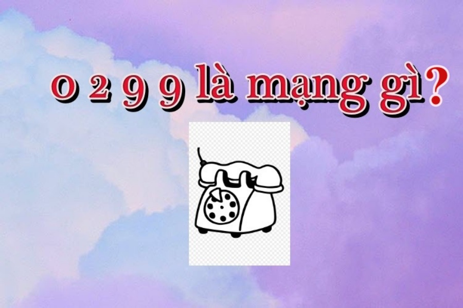 GameThuVi.Com - 0299 là mạng gì, 1