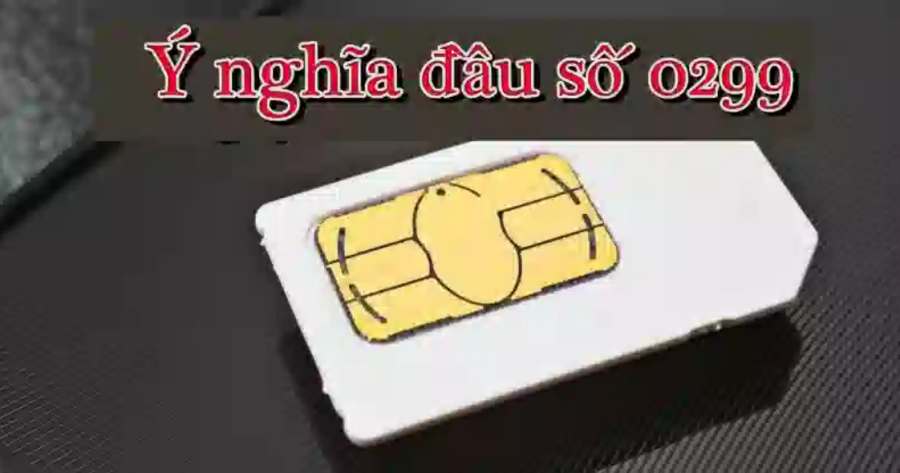 GameThuVi.Com - 0299 là mạng gì, 6
