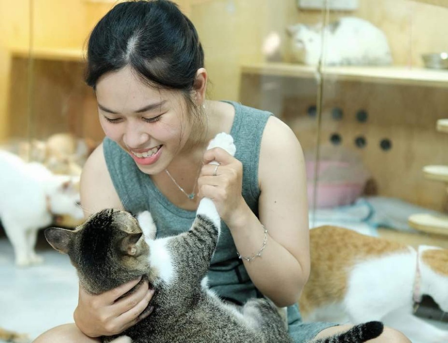 Cô gái cưng nựng chú mèo