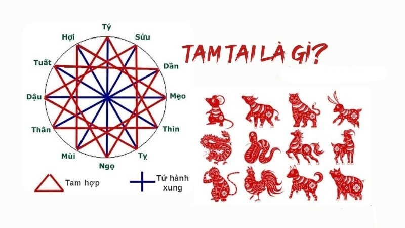 GameThuVi.Com - Hoàng ốc, Kim lâu, Tam Tai là gì? 9