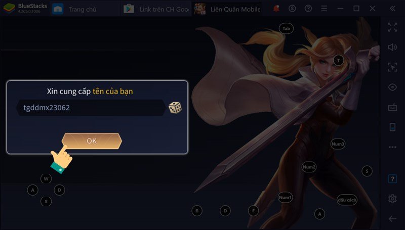 Điền thông tin tên hiển thị trong game và ấn OK.