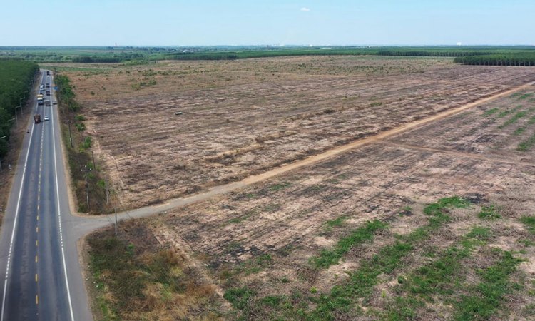 Hình ảnh thực tế 49,8 ha nằm gần sân bay quốc tế Long Thành Kim Oanh Group vừa nhận bàn giao