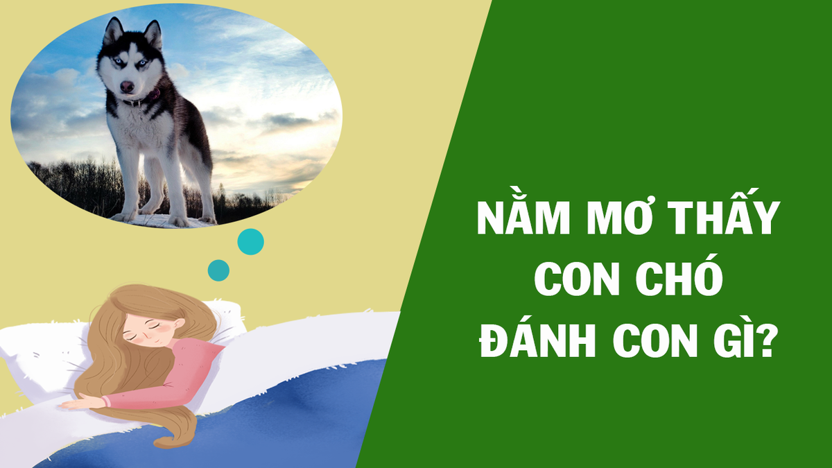 Mơ thấy chó mang ý nghĩa gì?