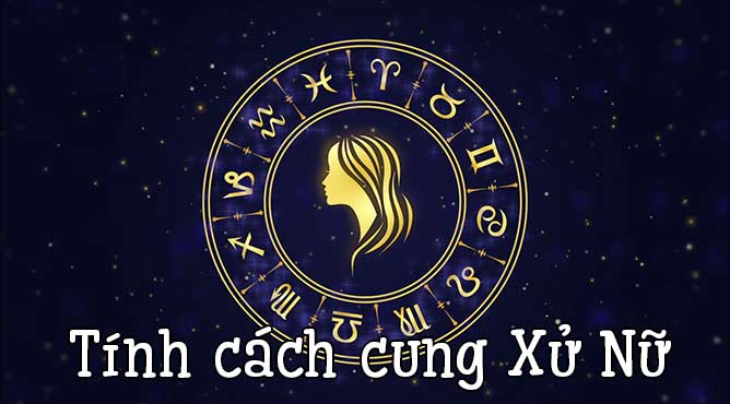 24161852 tinh cach