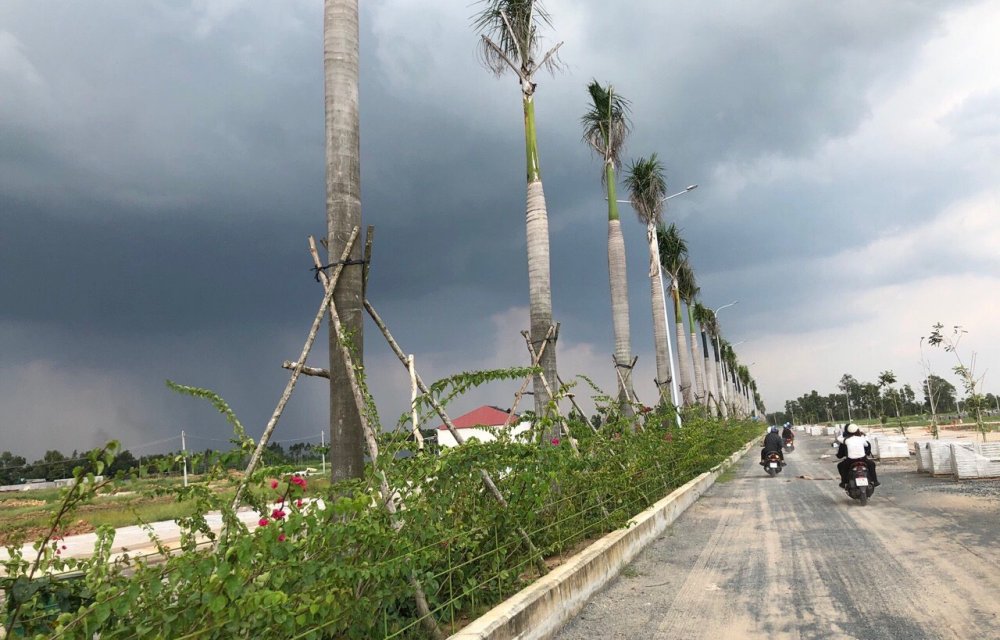 Hình ảnh thực tế dự án đất nền VietUc Varea Long An 