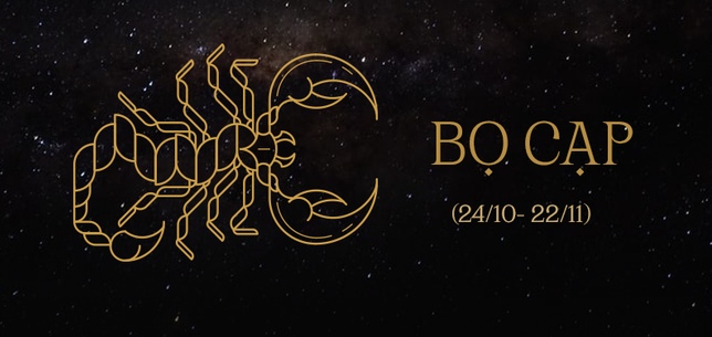 25113658 8 bo cap