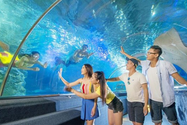 Thủy cung Vinpearl Land Phú Quốc