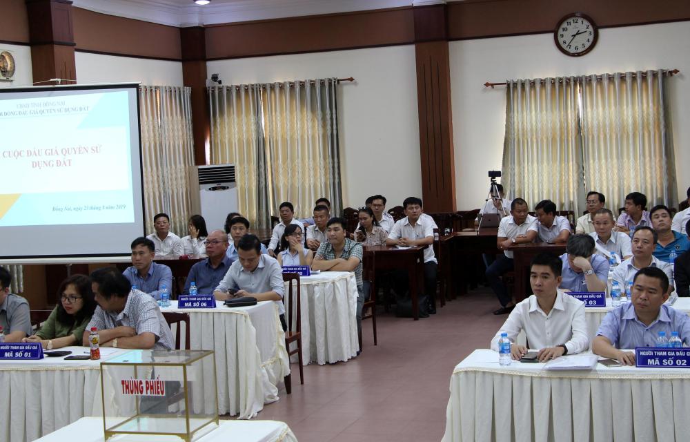 Buổi đấu giá có 6 đơn vị tham gia