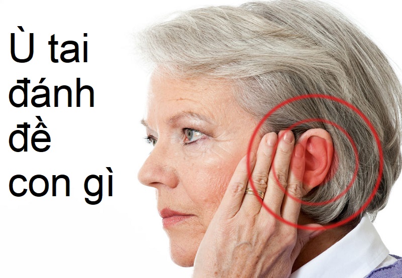 Ù tai là biểu hiện của bệnh gì?