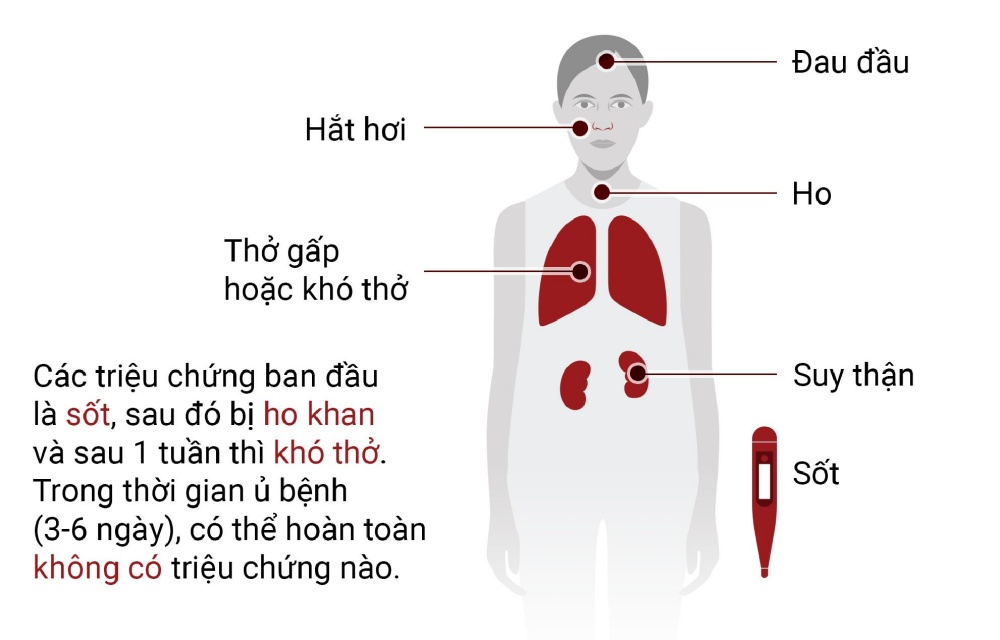 Triệu chứng Virus Corona thường gặp