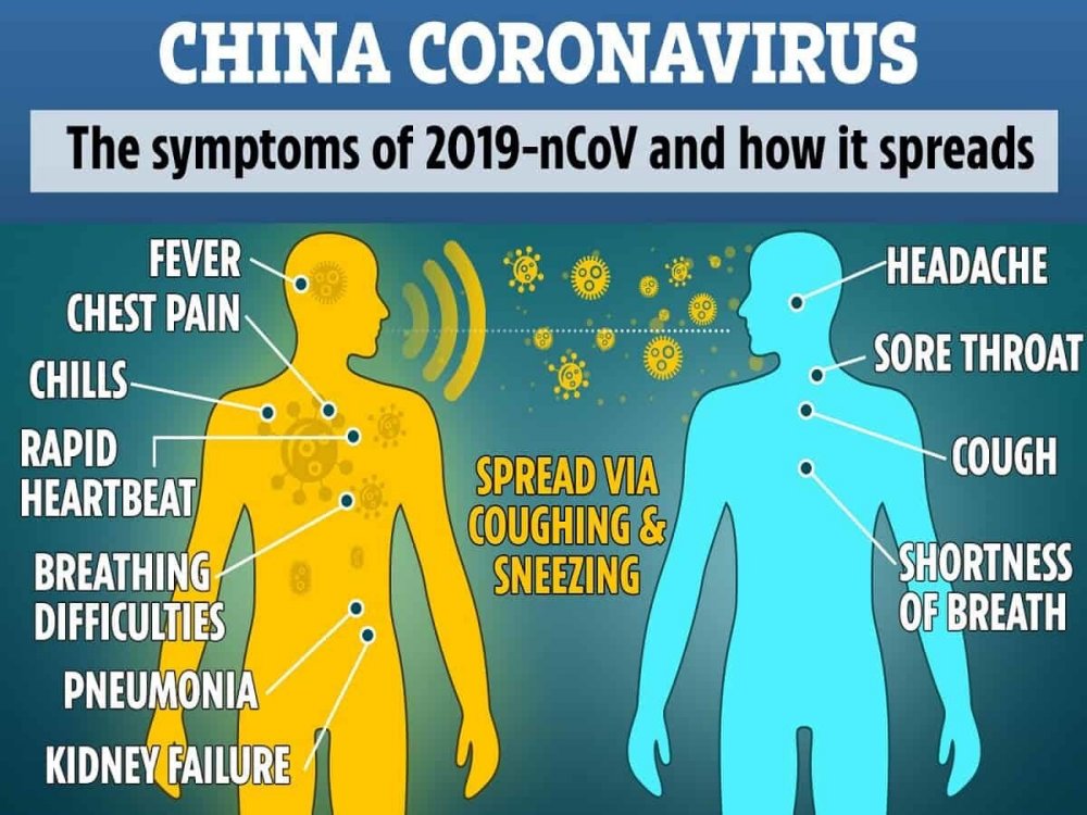 Phân biệt virus corona và cảm lạnh thông thường bằng tiếng Anh