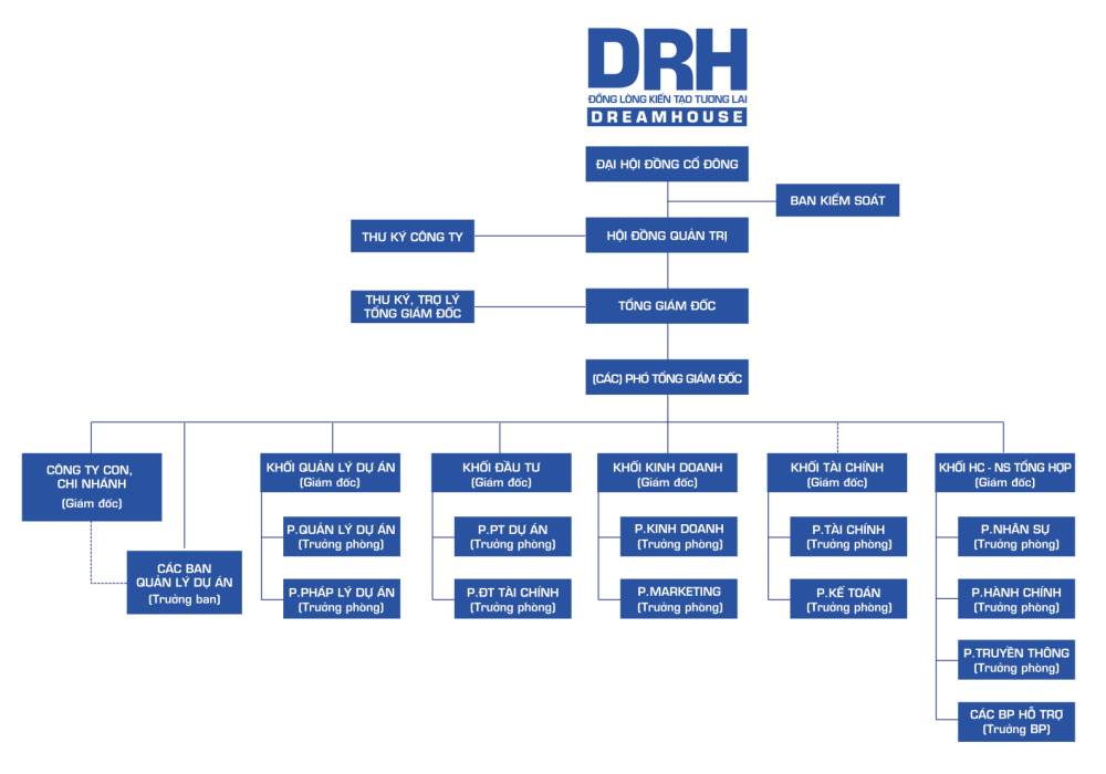 Mô hình hoạt động Công ty Cổ phần DRH Holdings